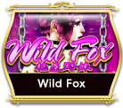 Wild Fox