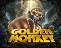 Golden Monkey
