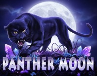 Panthermoon