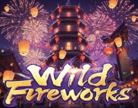 Wild Fireworks