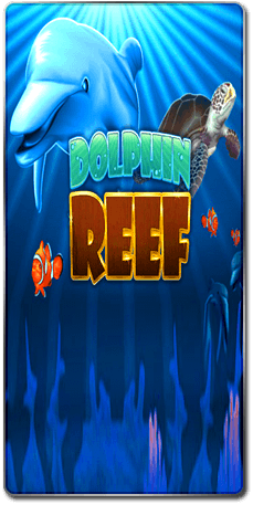 Dolphin Reef