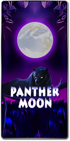 Panther Moon